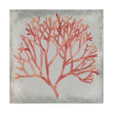 Megan Meagher 'Watercolor Coral Iv' Canvas Art,14x14